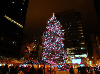 daleytree